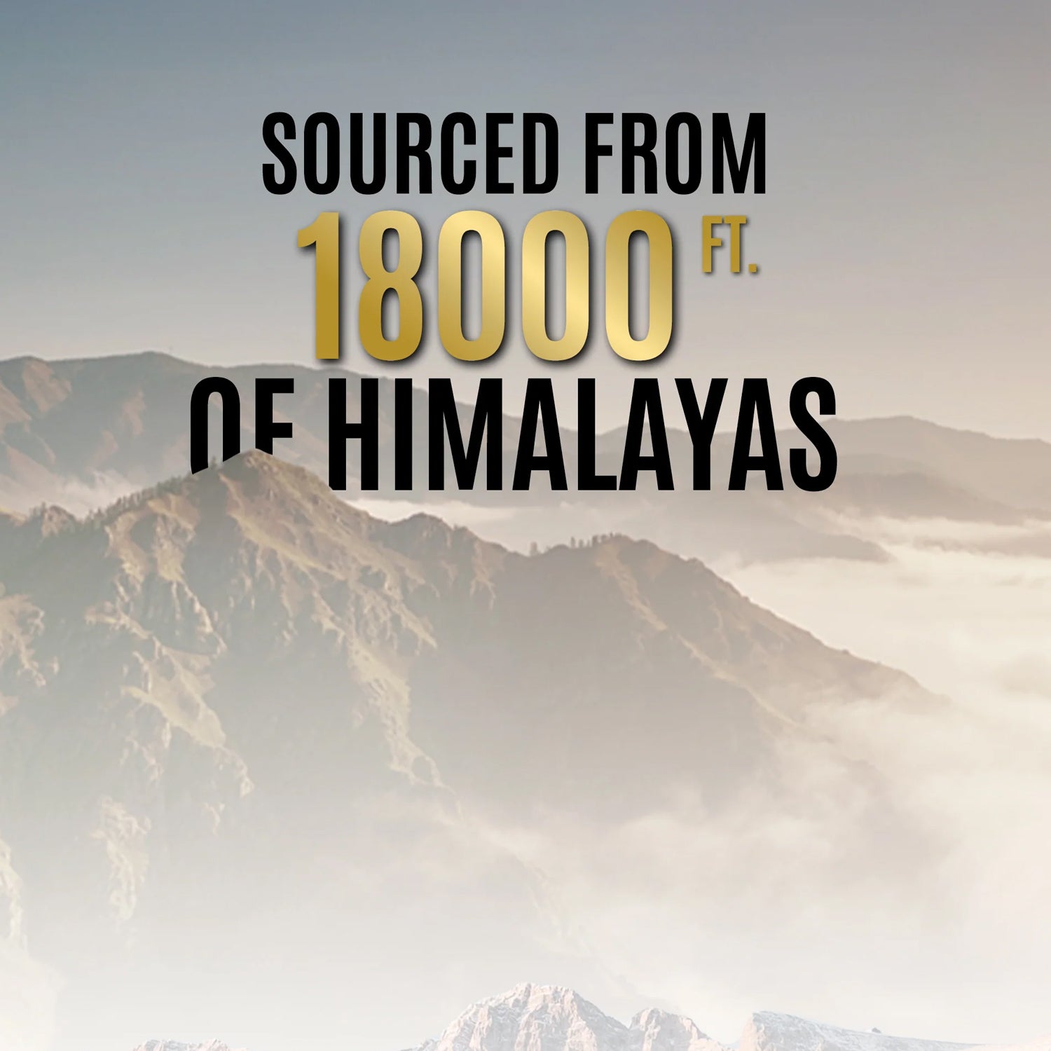 OG Wellness Natural power Himalayan Shilajit resin for strength and vitality