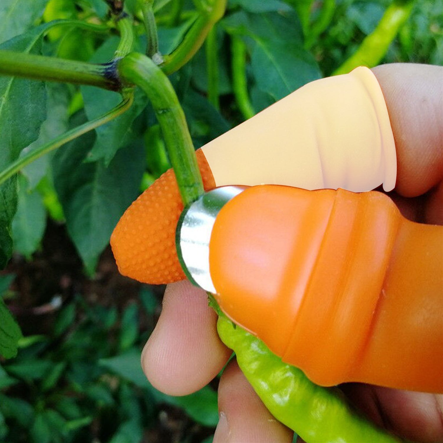 A pair of V Thumb Cutters displayed with their protective box, ideal for kitchen use.