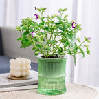 Self-watering Bamboo Style Plastic Flower Pot With Cotton Wick (1 Pc)