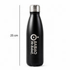 Premium Stainless Steel Water Bottle (500ml)