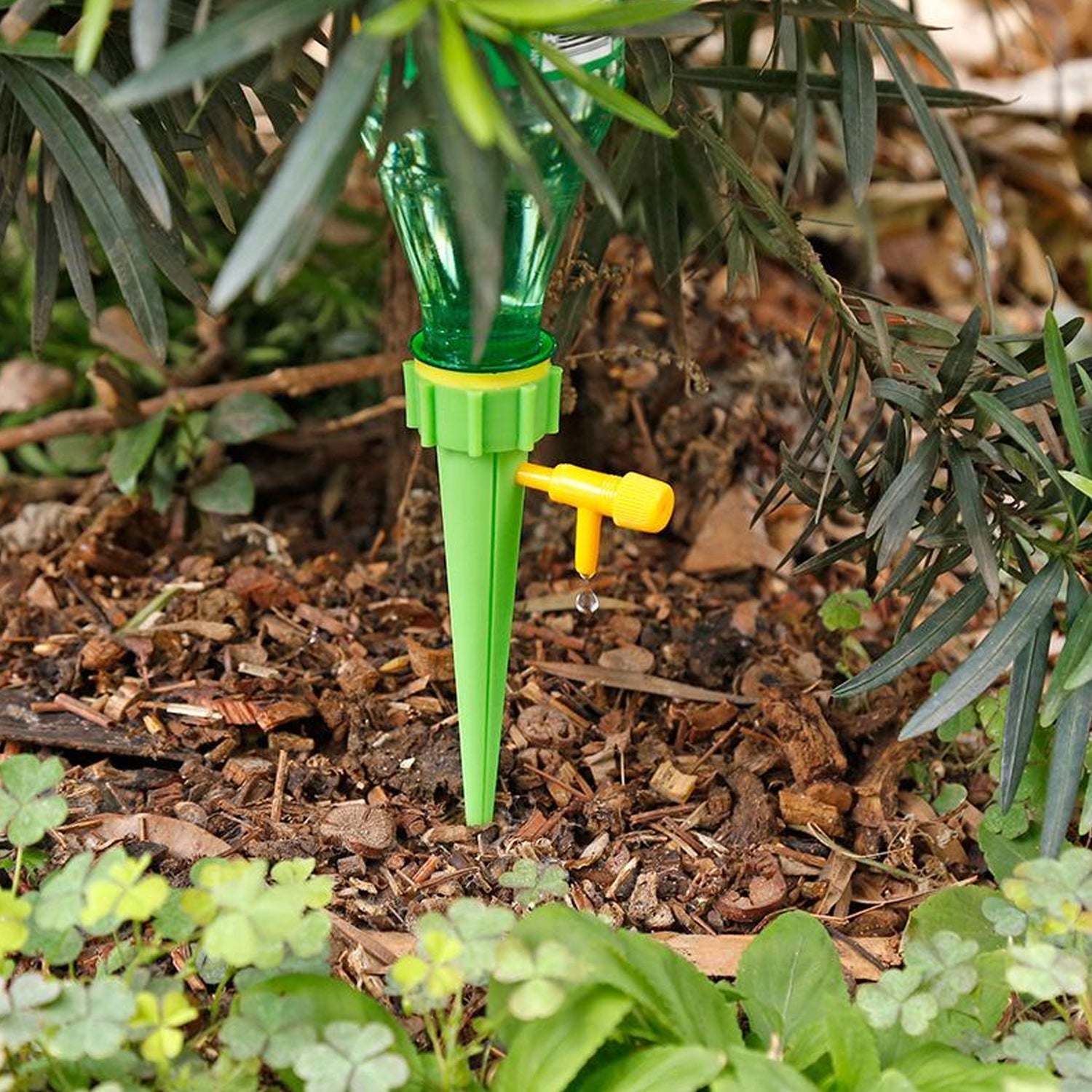 Set of six self-watering plant spikes by Tidy Roots, ready for multiple plants.