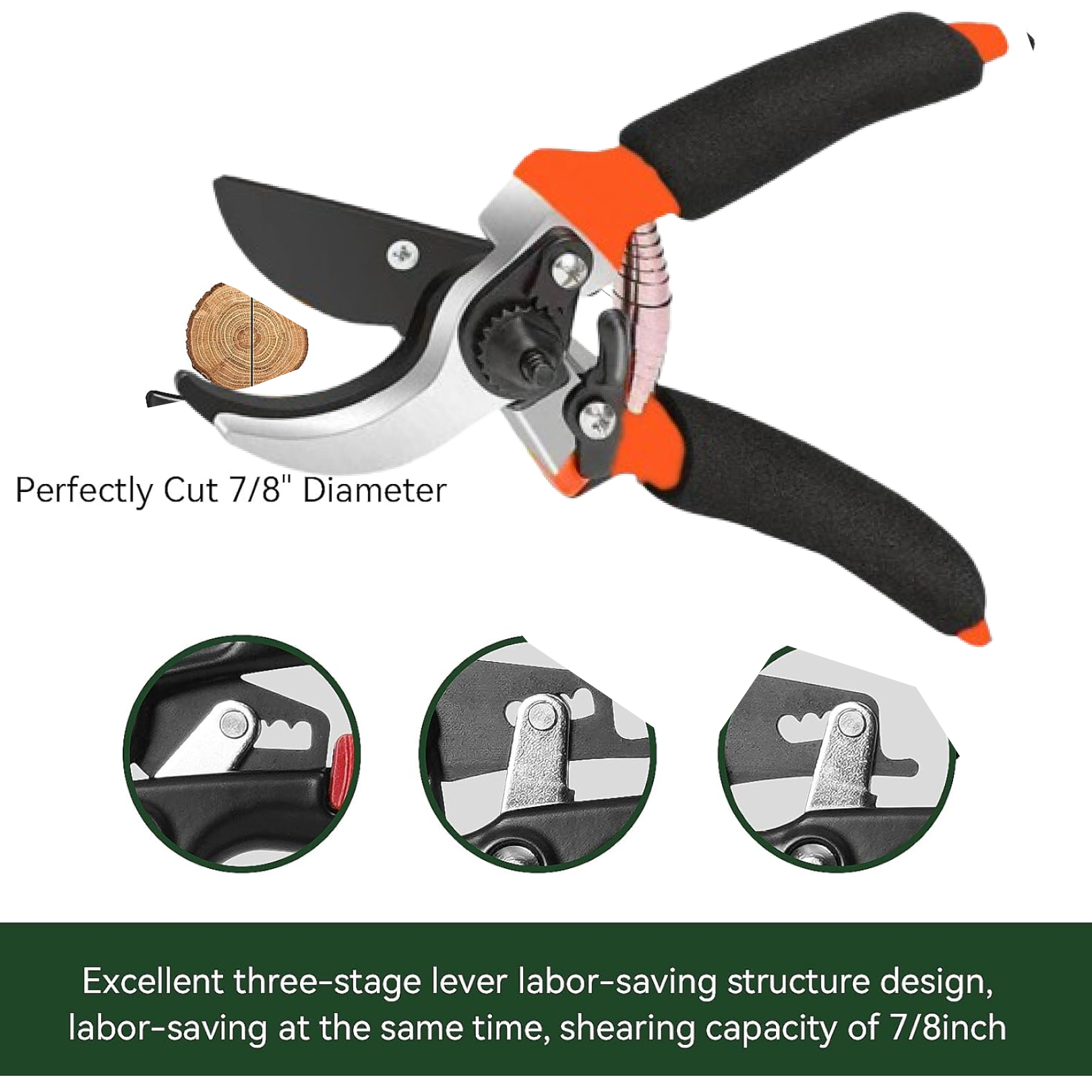 Close-up of the rust-resistant blade of the garden pruners, featuring a non-stick coating.