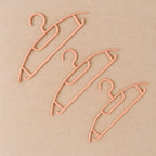 Ganesh Set Of 6 Durable Plastic Cloth Hangers