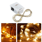 Fairy Lights Multi Led Fairy String Light (1 Pc)