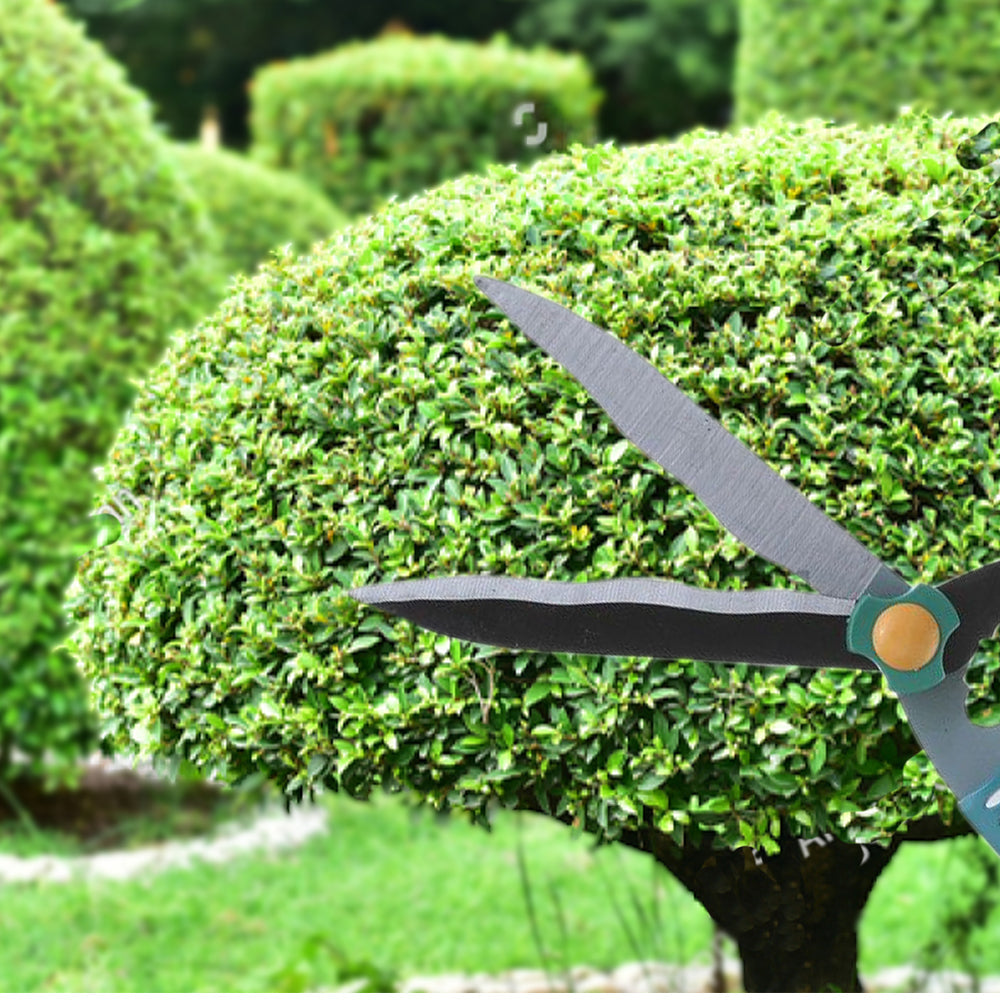 Ergonomic Indo Glow garden scissor with soft-grip handle for comfortable pruning.