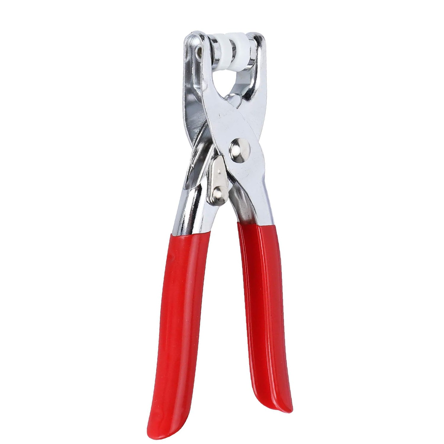 Components of snap button plier kit arranged on white background