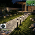 Solar Powered Lawn Pathway Light Set (12 Pcs Set)
