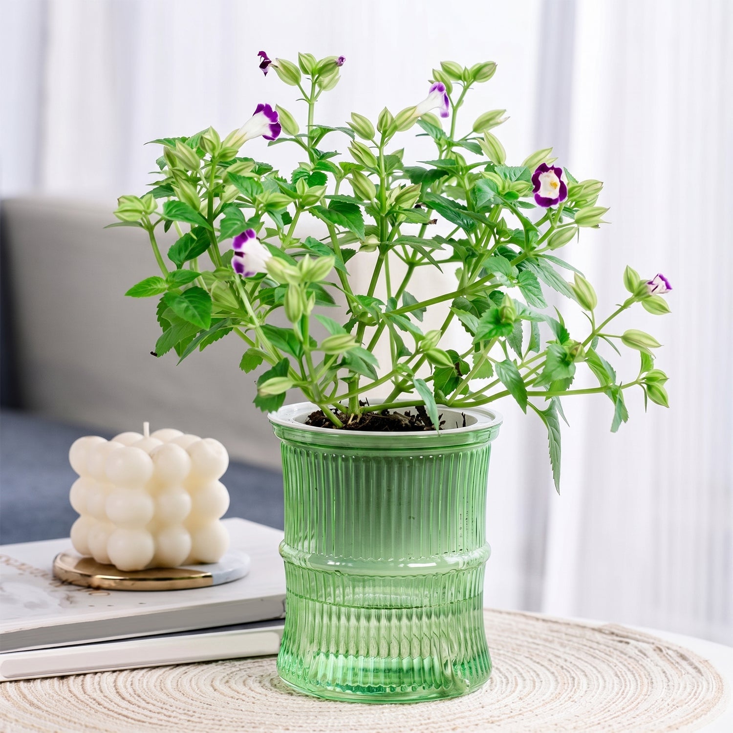 Plastic watering planter with cotton wick system