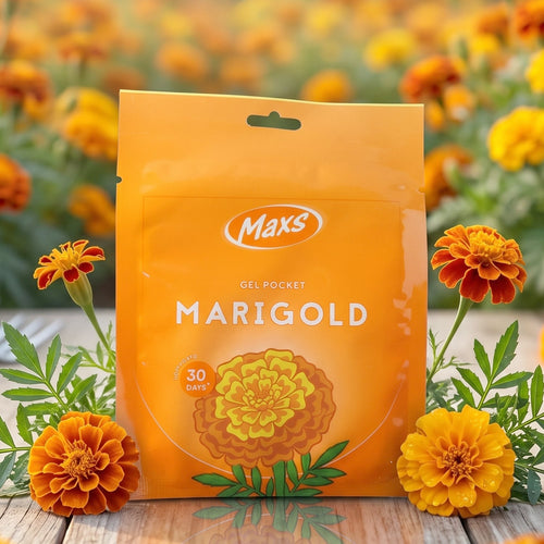 Marigold fragrance gel air freshener pocket