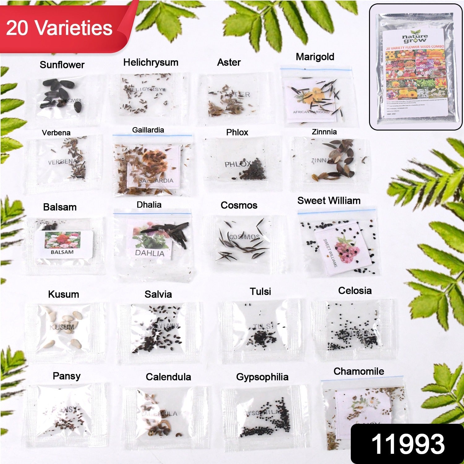 Flower seed varieties combo with diverse colorful blooms