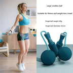 Fitness Wrist Ball Exercise Tool With Handle Grip (2 Pc)