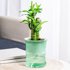 Self-watering Bamboo Style Plastic Flower Pot With Cotton Wick (1 Pc)