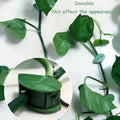 0311  Plant Climbing Wall Fixture Clip Self-adhesive Hook Vines Traction Invisible Stand Green Leaf Plant Clip Garden Wall Clip Plant Support Binding Clip Plants For Indoor Outdoor Decoration (30 Pcs Set)